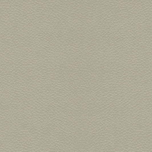 NICHOLASJOHN INC NJ-LONE Sand Dollar    Fabric - NJ25-1893