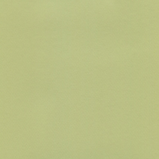 NICHOLASJOHN INC NJ-BA Green Solid   Fabric - NJ25-417