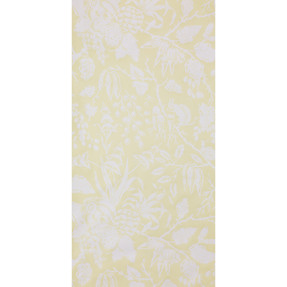 SCHUMACHER  RAOUL TEXTILES PUCK   LIMON   - M01249