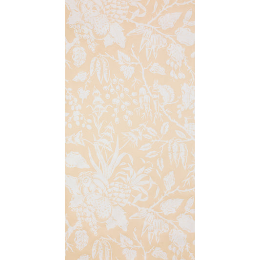 SCHUMACHER  RAOUL TEXTILES PUCK   LOQUAT   - M01285