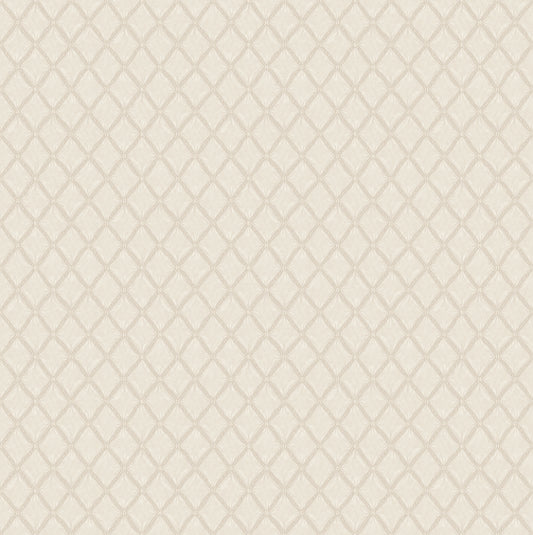 York Wallcoverings Fine Decor Santina Eggshell Trellis Wallpaper Graphics Traditional Eggshell  Wallpaper - M95679