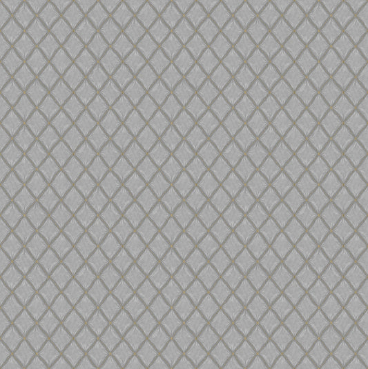 York Wallcoverings Fine Decor Santina Natural & Grey Trellis Wallpaper Graphics Traditional Natural & Grey  Wallpaper - M95681