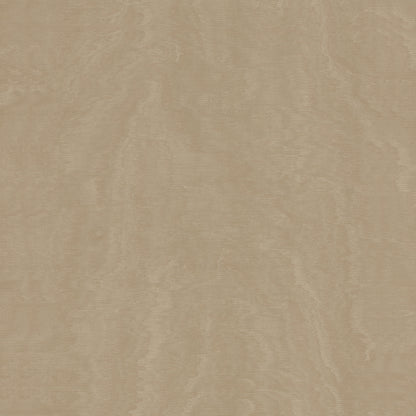York Wallcoverings Antonina Vella Shimmering Moire Taupe Textured Wallpaper Abstract Traditional Taupe  Wallpaper - MA34922