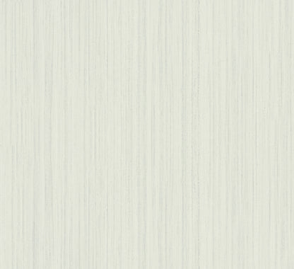 Light gray wood grain texture with subtle vertical lines; smooth pale veneer for walls or furniture.