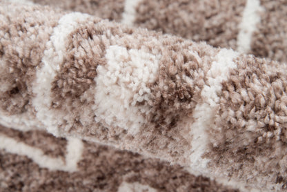 Close-up of a plush brown and beige shag rug with cream stripes and a soft, high-pile texture.