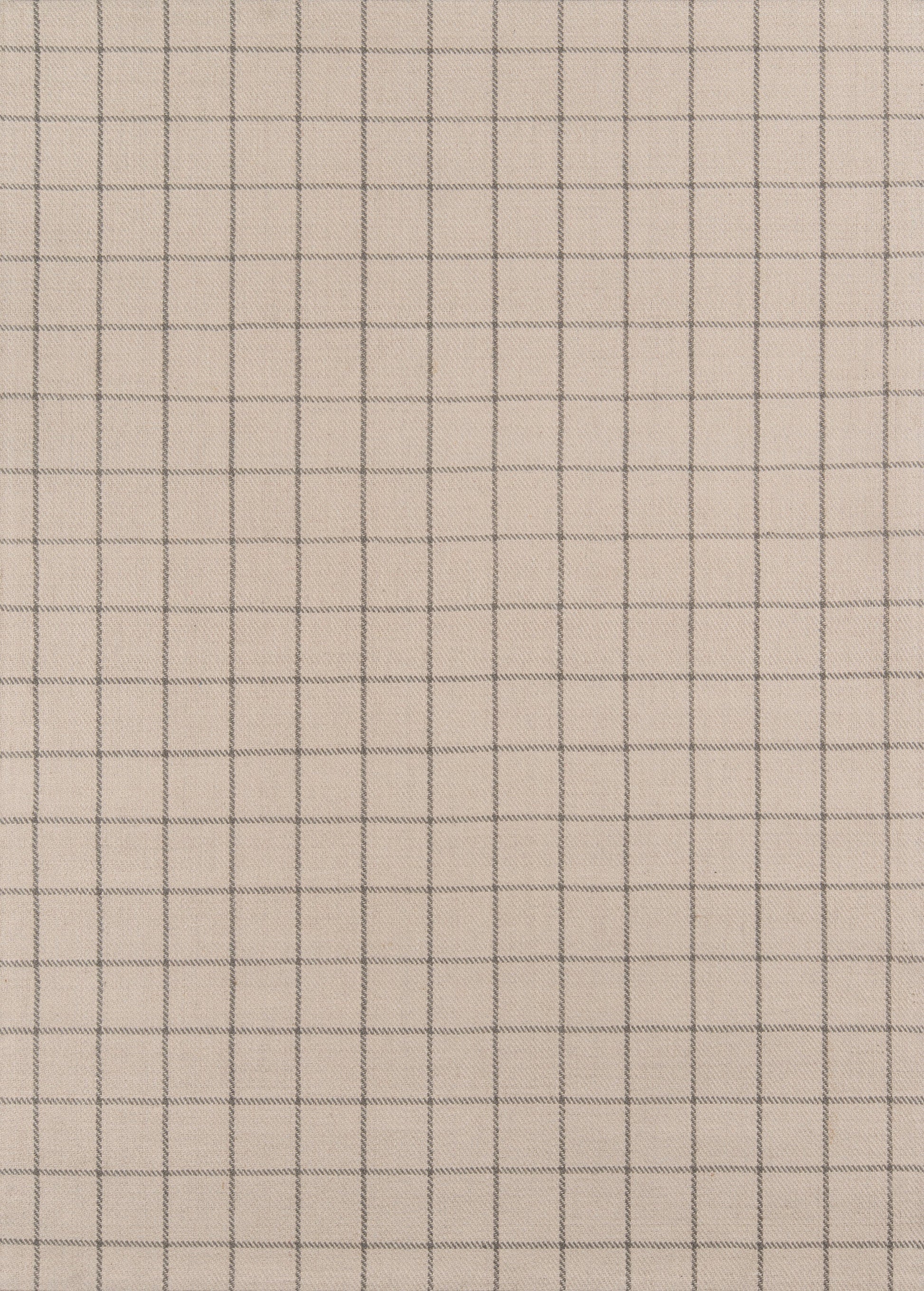 Beige woven fabric with blue-gray square grid pattern; lightweight textile for upholstery or crafts.