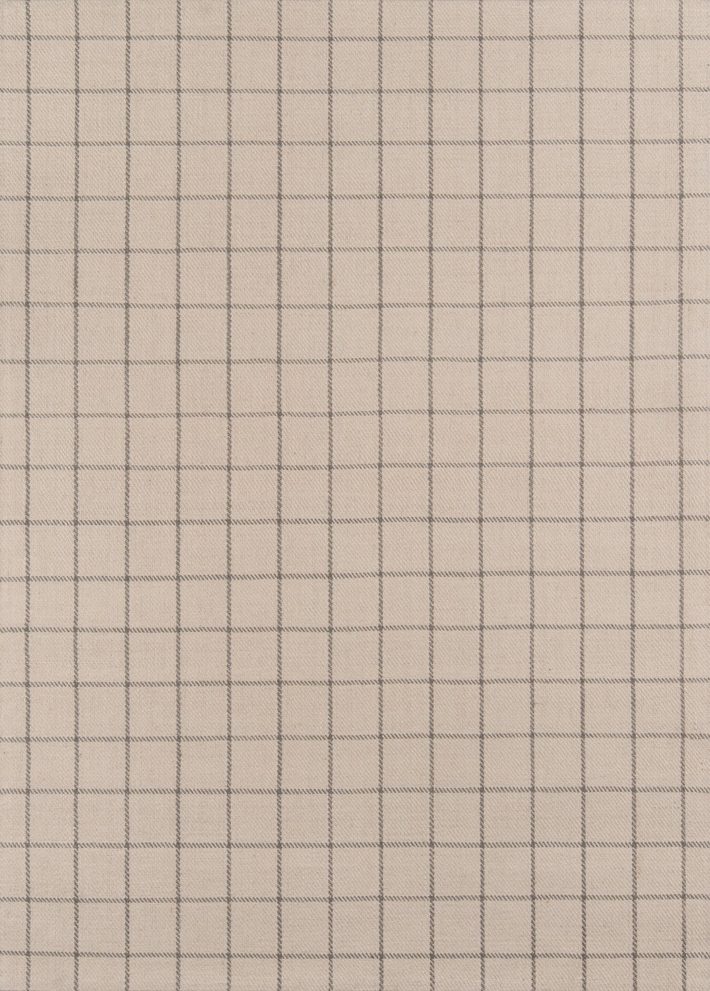 Beige fabric with blue grid lines forming small squares; neutral graph-pattern textile.