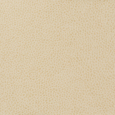 KRAVET BASICS VINYL/FAUX LEATHER TEXTURE IVORY,IVORY,   - MATTER.111.0