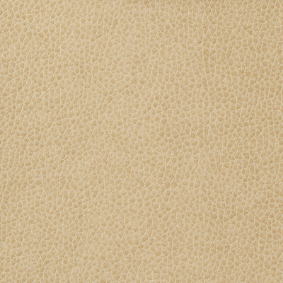 KRAVET BASICS VINYL/FAUX LEATHER TEXTURE IVORY,IVORY,   - MATTER.1116.0