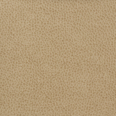 KRAVET BASICS VINYL/FAUX LEATHER TEXTURE WHEAT,BEIGE,   - MATTER.1616.0