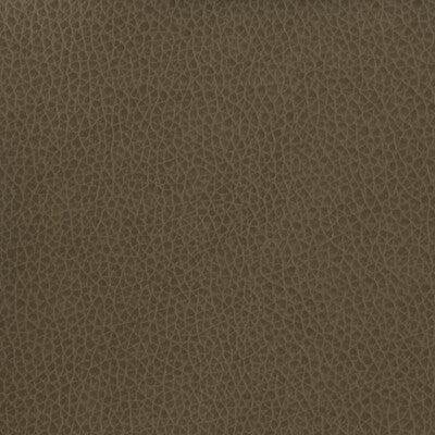 KRAVET BASICS VINYL/FAUX LEATHER TEXTURE CHARCOAL,CHARCOAL,   - MATTER.21.0