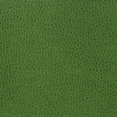 KRAVET BASICS VINYL/FAUX LEATHER TEXTURE GREEN,GREEN,   - MATTER.3.0