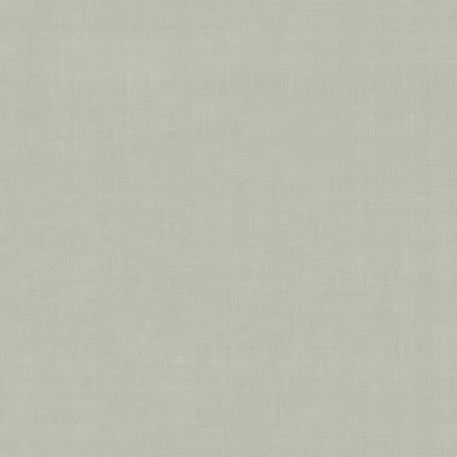 York Wallcoverings Daydream Vava Alg Grey Wallpaper Transitional Solids Greys   - MB16021