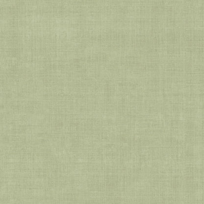 York Wallcoverings Daydream Vava Varlov Light Green Wallpaper Transitional Solids Greens   - MB16038