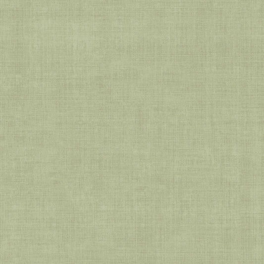 York Wallcoverings Daydream Vava Varlov Light Green Wallpaper Transitional Solids Greens   - MB16038