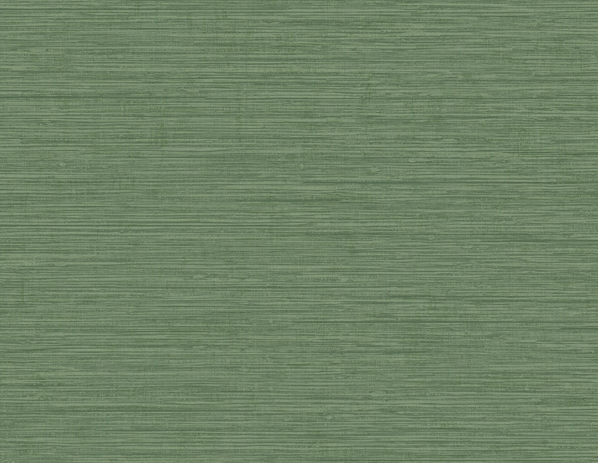 Seabrook Designs Beach House Nautical Twine Stringcloth Faux Grasscloth Coastal Green Matte Sidewall - MB31804