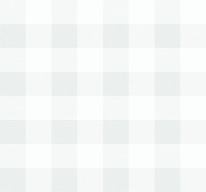 Seabrook Designs Beach House Picnic Plaid Plaid Coastal Off White Matte  - MB31900