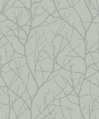 York Wallcoverings Antonina Vella Trees Silhouette Eucalyptus and Silver Wallpaper  Botanical Greens   - MD7124