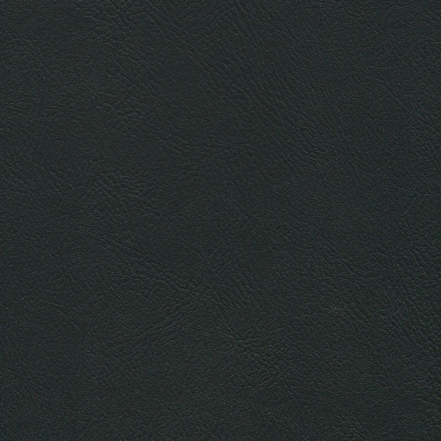 NICHOLASJOHN INC NJ-MADDYE Black    Fabric - NJ25-2043