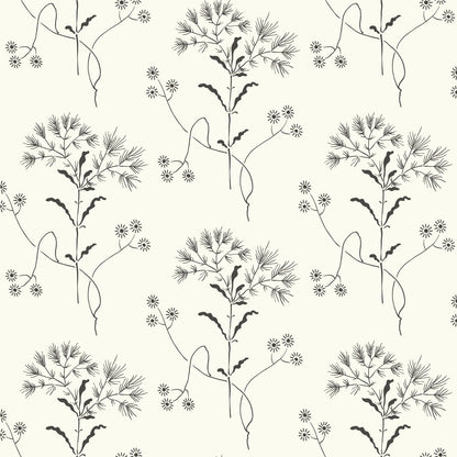 York Wallcoverings Magnolia Home Wildflower Black and White Wallpaper   Whites and Off-Whites   - ME1515