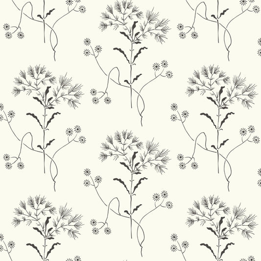 York Wallcoverings Magnolia Home Wildflower Black and White Wallpaper   Whites and Off-Whites   - ME1515