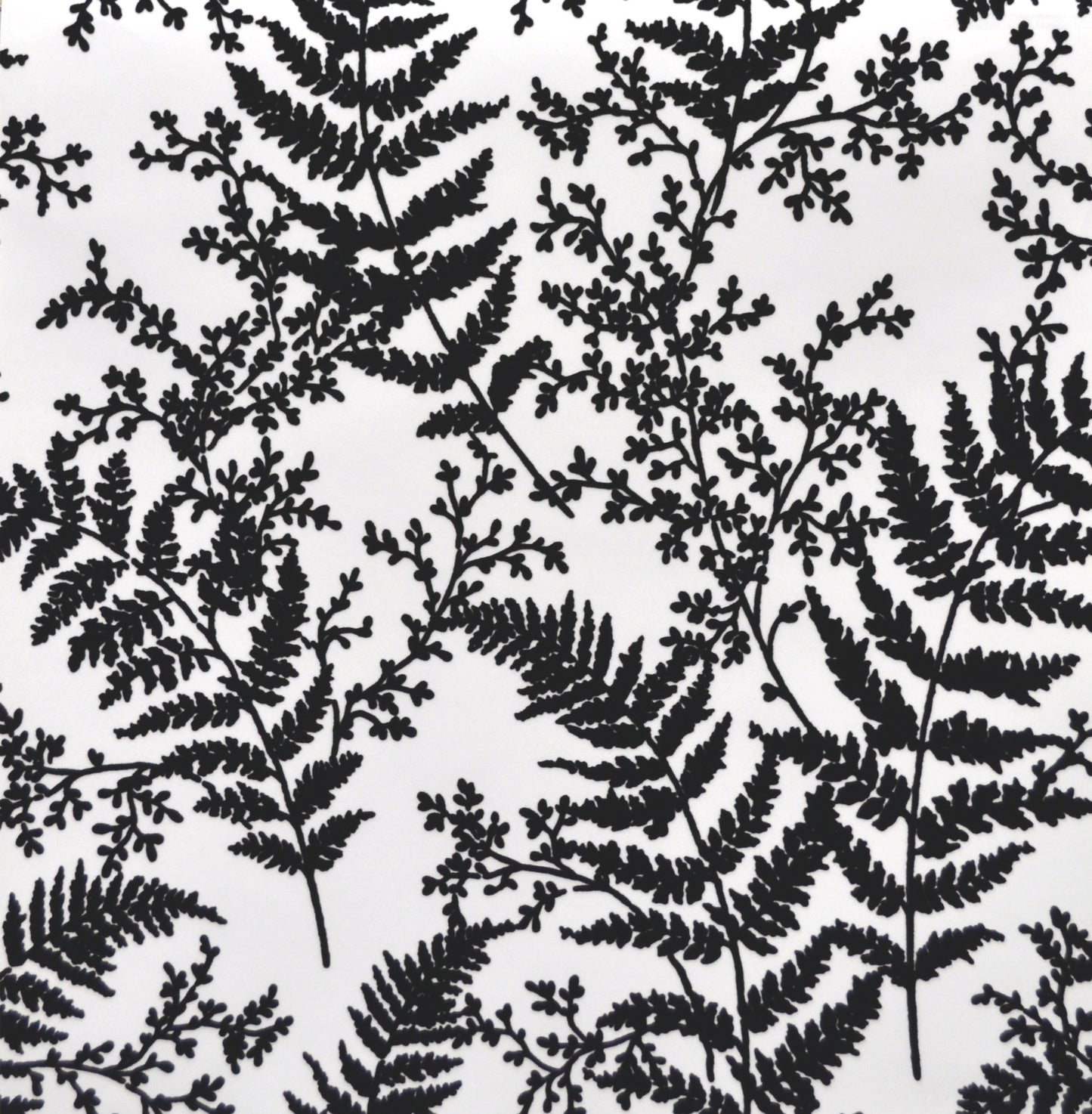 York Wallcoverings Magnolia Home 4 Forest Fern Flock Black Wallpaper   Blacks   - ME1583