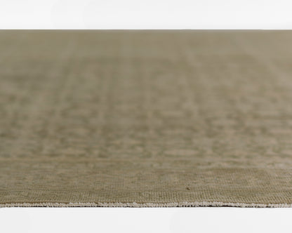 Olive-green textured rug with beige fringe along the edge; rectangular flat-weave, 9' x 12', for living room decor.