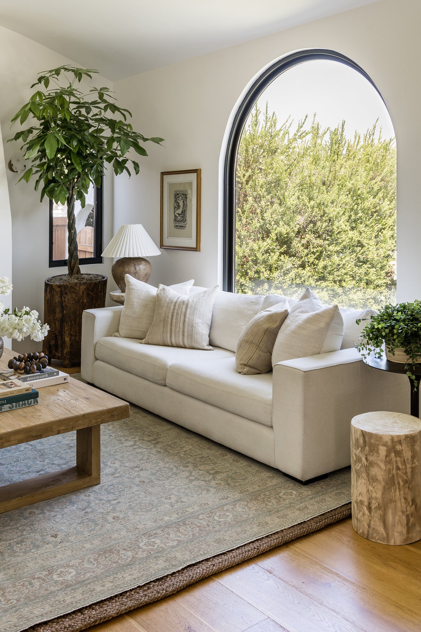 Blue area rug in a bright living room with an arched window, potted plant, and a wooden coffee table.