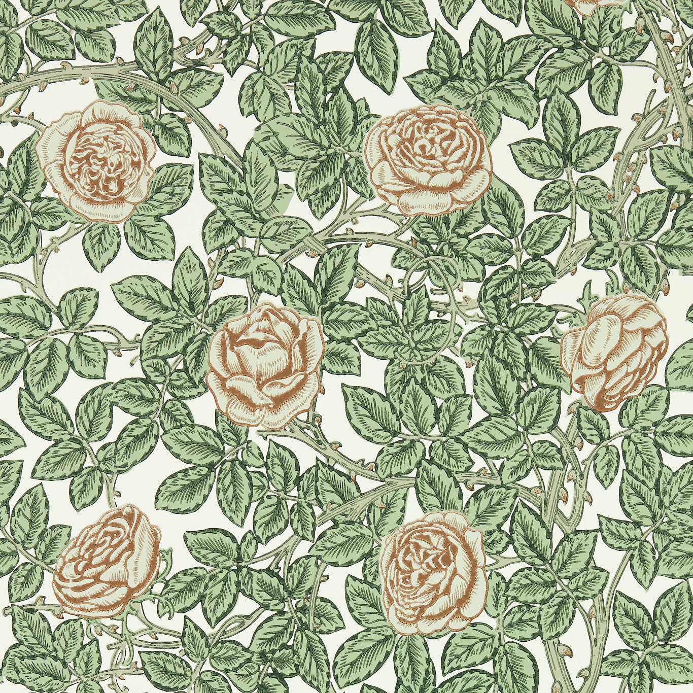 MORRIS & CO Rambling Rose Wallpaper Classic Floral Leafy Arbour,Pearwood  Surflex-Printed Wallpaper - MEWW217208