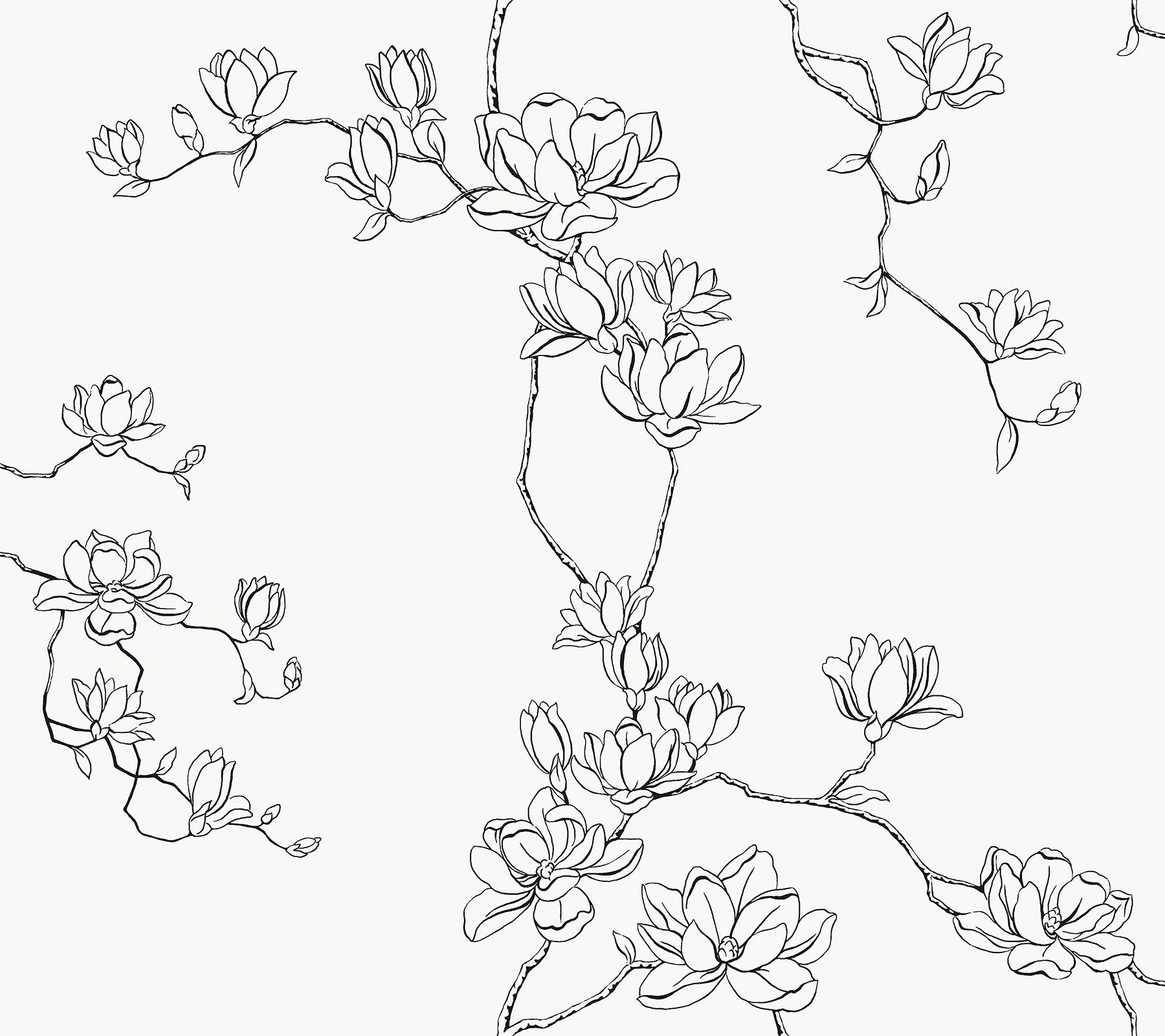 Monochrome line-drawing of magnolia branches with blooming flowers, seamless black-branch floral wallpaper pattern.