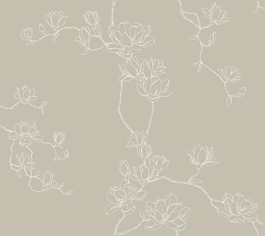 York Wallcoverings Magnolia Home 4 Magnolia Taupe Branches Wallpaper Farmhouse Botanical Beiges   - MF4736