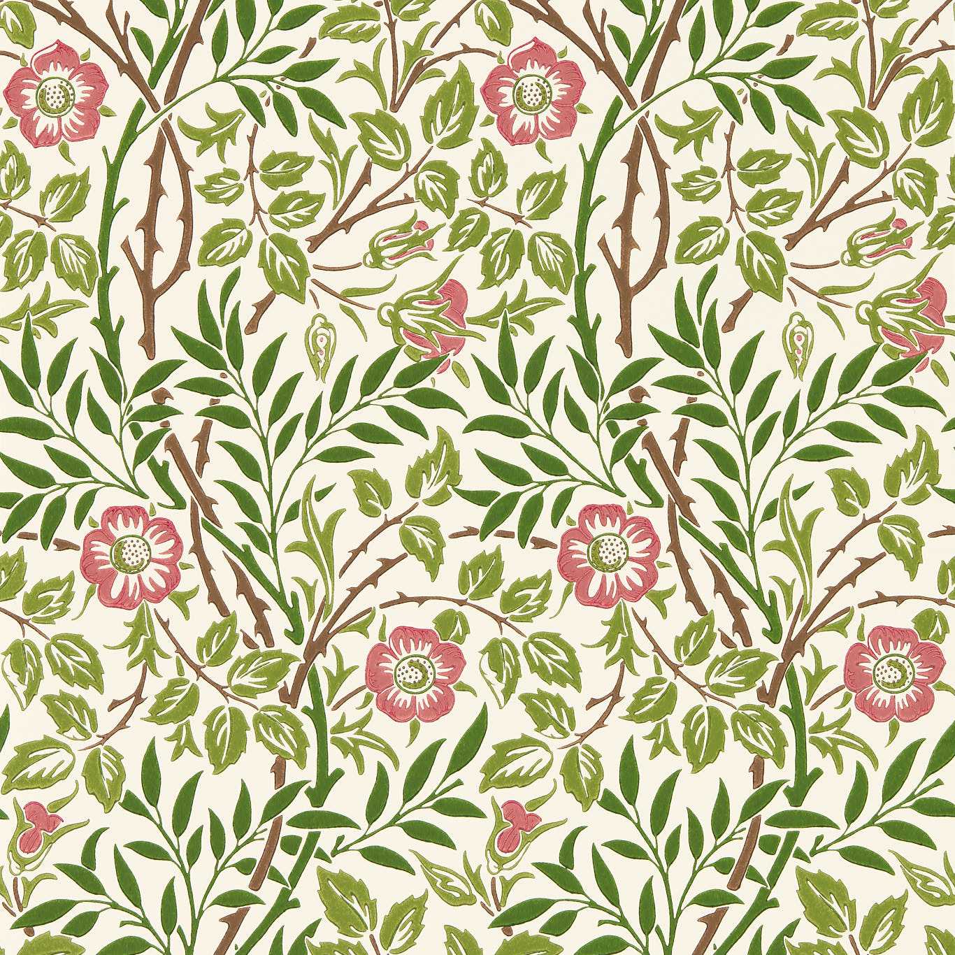 MORRIS & CO Sweet Briar Wallpaper Leaves , Trees Boughs,Rose  Surface- Printed Wallpaper - MFRW217370