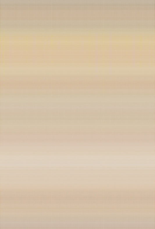 York Wallcoverings Woodnote Oleg Warm Wall Mural Feature Wall Stripes Yellows  Wallpaper - MI10573M