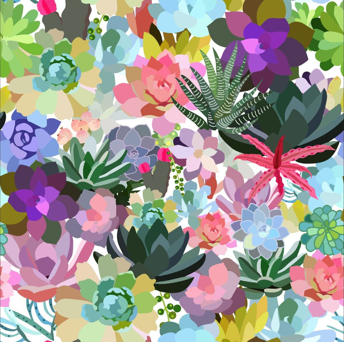 VEER DECOR Mia Charro Collection Mia's Succulent Bright Multi Color Peel and Stick Wallpaper Transitional Green   - MIAPS7-01