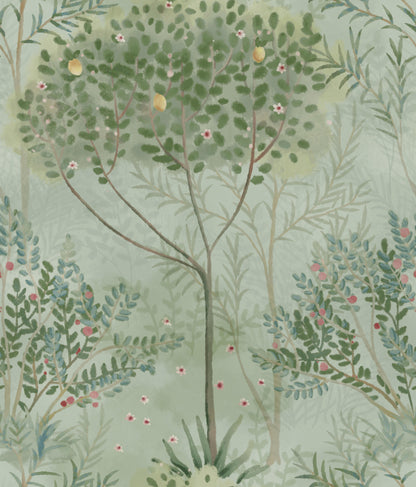 York Wallcoverings Mediterranean Orchard Green Wallpaper  Botanical Greens   - MN1823