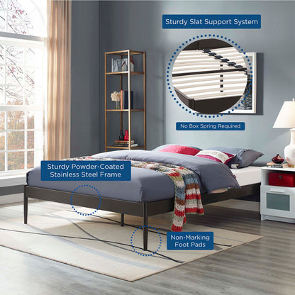 Modway Outlet Elsie Queen Bed Frame by Modway  Bedroom Furniture Brown - MOD-5474-BRN