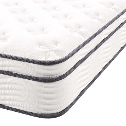 Modway - Jenna 10" Innerspring and Foam Queen Mattress by Modway  Mattresses Twin White - MOD-5770-WHI