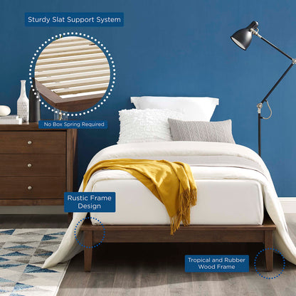 Modway Outlet Lodge Wood Twin Platform Bed Frame by Modway  Bedroom Furniture Cappuccino - MOD-6053-CAP