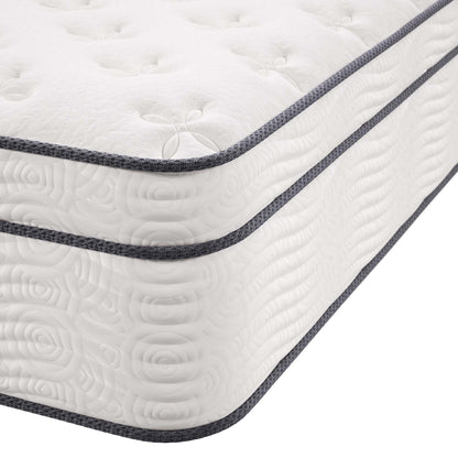 Modway - Jenna 14" Innerspring and Foam Twin Mattress by Modway  Mattresses Twin White - MOD-6082-WHI