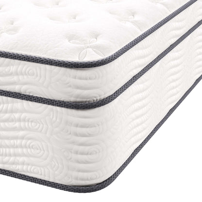 Modway - Jenna 14" Innerspring and Foam Queen Mattress by Modway  Mattresses Twin White - MOD-6084-WHI