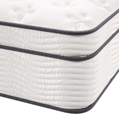 Modway - Jenna 14" Innerspring and Foam California King Mattress by Modway  Mattresses Twin White - MOD-6086-WHI