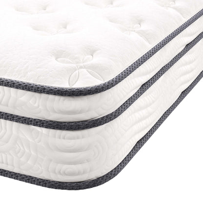 Modway - Jenna 8" Innerspring and Foam Twin Mattress by Modway  Mattresses Twin White - MOD-6133-WHI