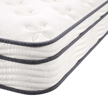 Modway - Jenna 8" Innerspring and Foam Full Mattress by Modway  Mattresses Twin White - MOD-6134-WHI