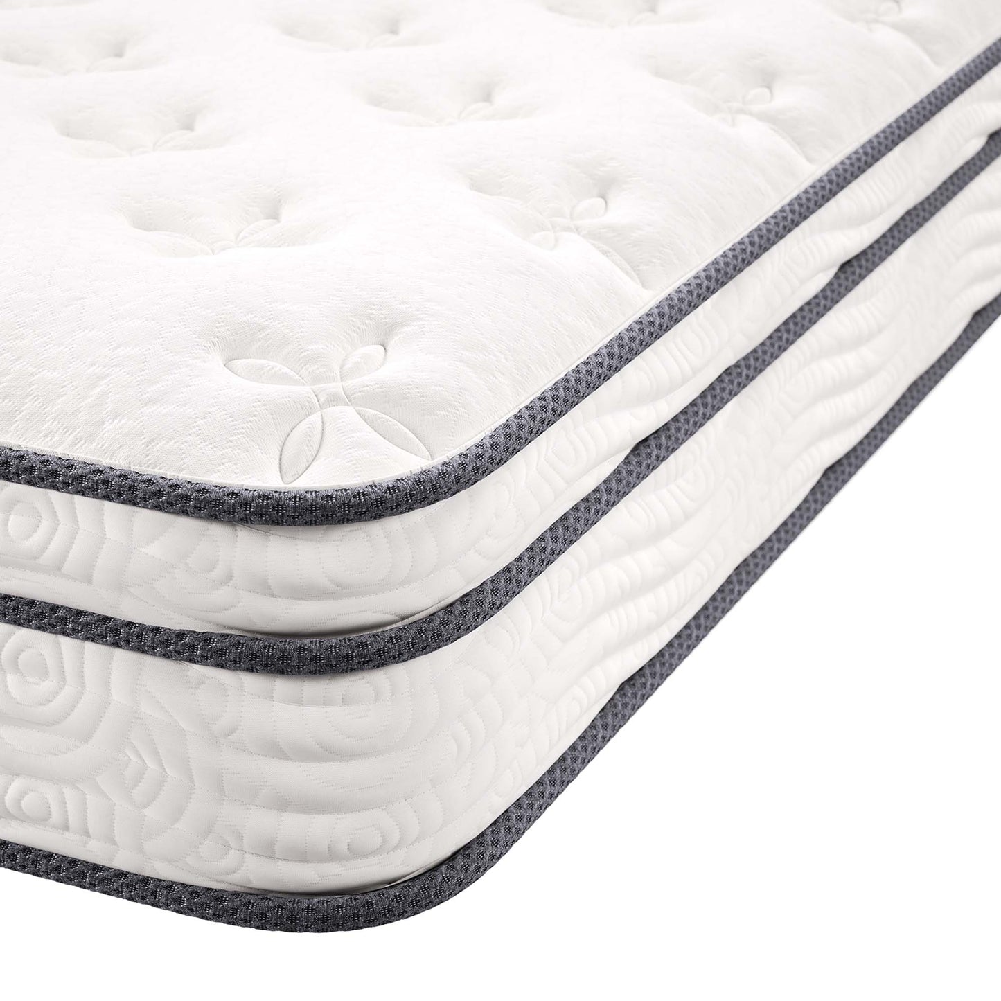 Modway - Jenna 8" Innerspring and Foam Queen Mattress by Modway  Mattresses Twin White - MOD-6135-WHI
