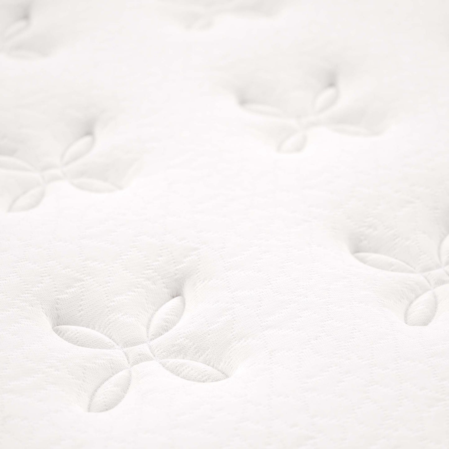 Modway - Jenna 8" Innerspring and Foam King Mattress by Modway  Mattresses Twin White - MOD-6136-WHI