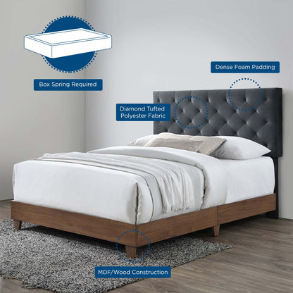 Modway Outlet Rhiannon Diamond Tufted Upholstered Performance Velvet Queen Bed by Modway  Bedroom Furniture Walnut Charcoal - MOD-6147-WAL-CHA