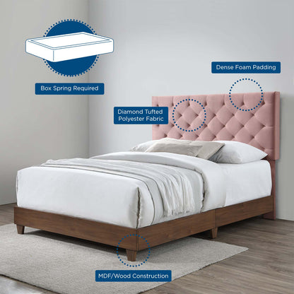 Modway Outlet Rhiannon Diamond Tufted Upholstered Performance Velvet Queen Bed by Modway  Bedroom Furniture Walnut Dusty Rose - MOD-6147-WAL-DUS