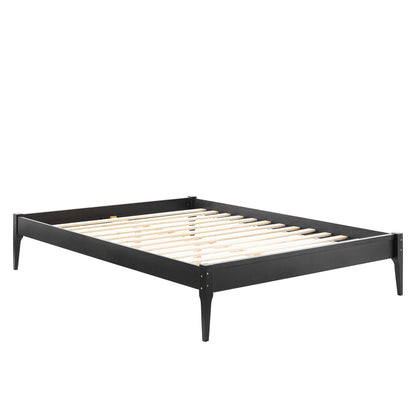Modway Outlet June Wood Queen Platform Bed Frame by Modway  Bedroom Furniture Black - MOD-6246-BLK
