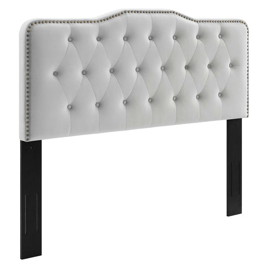 Modway - Sophia Tufted Performance Velvet Twin Headboard by Modway  Bedroom Headboards Gray - MOD-6409-LGR