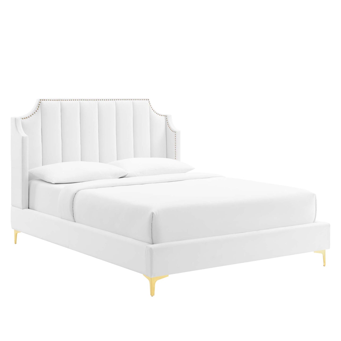 Modway Outlet Daniella Performance Velvet Queen Platform Bed by Modway  Bedroom Furniture White - MOD-6412-WHI